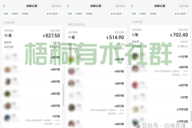 别打工了！小红书卖39元纪录片，日赚1-2万、月入60万+的方法