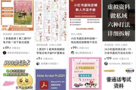 海社长谈项目：卧槽！小红书卖个破PDF都能月入3万？（附保姆级教程）